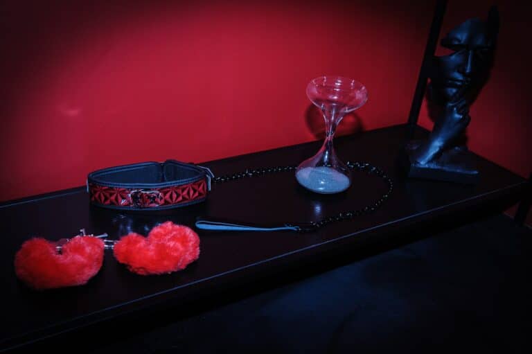 50 nuances de plaisir – love room - Photo 4