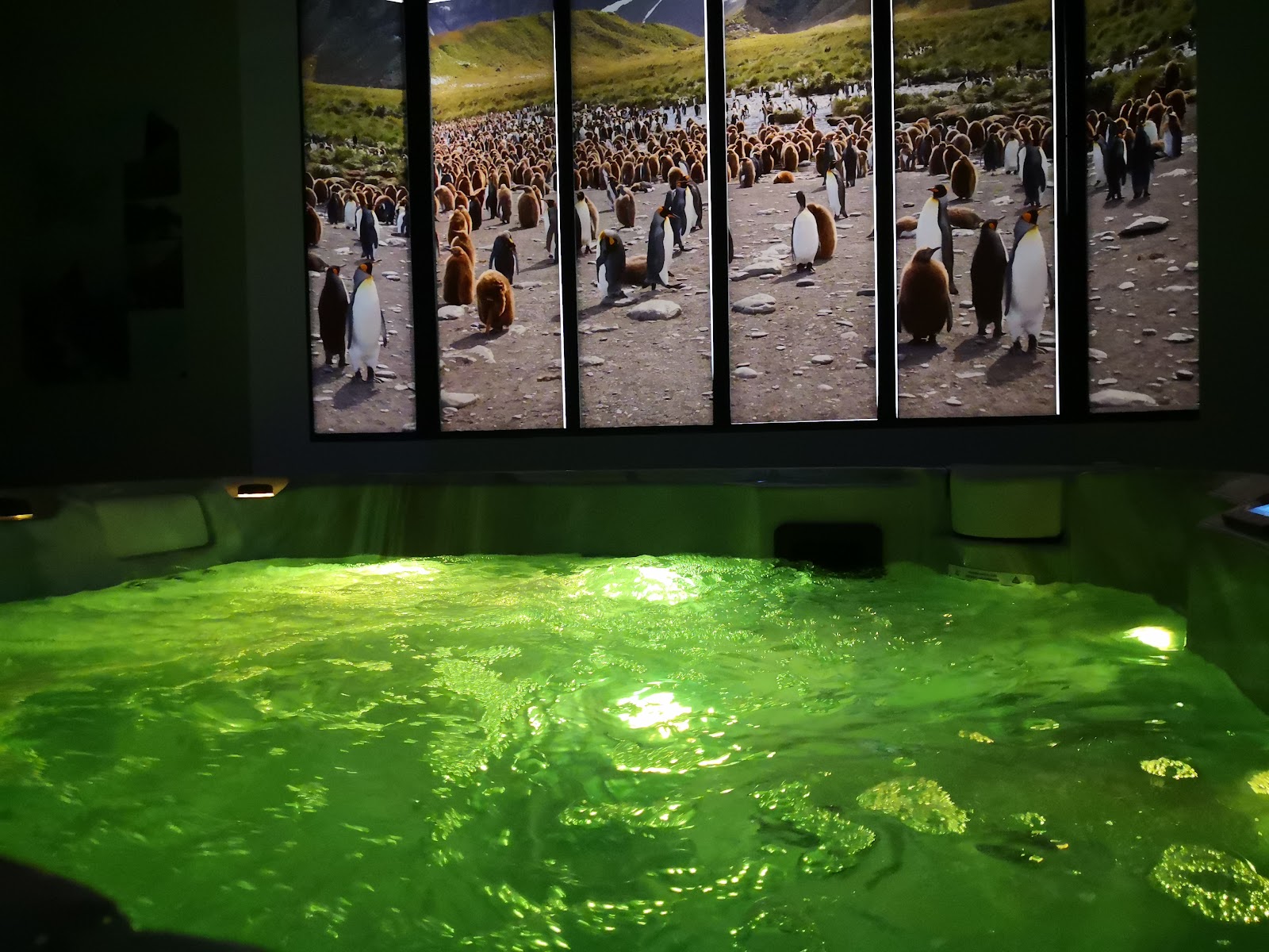 Nantes Day-SPA spa sauna hammam massage #Spas privatifs - Photo 7