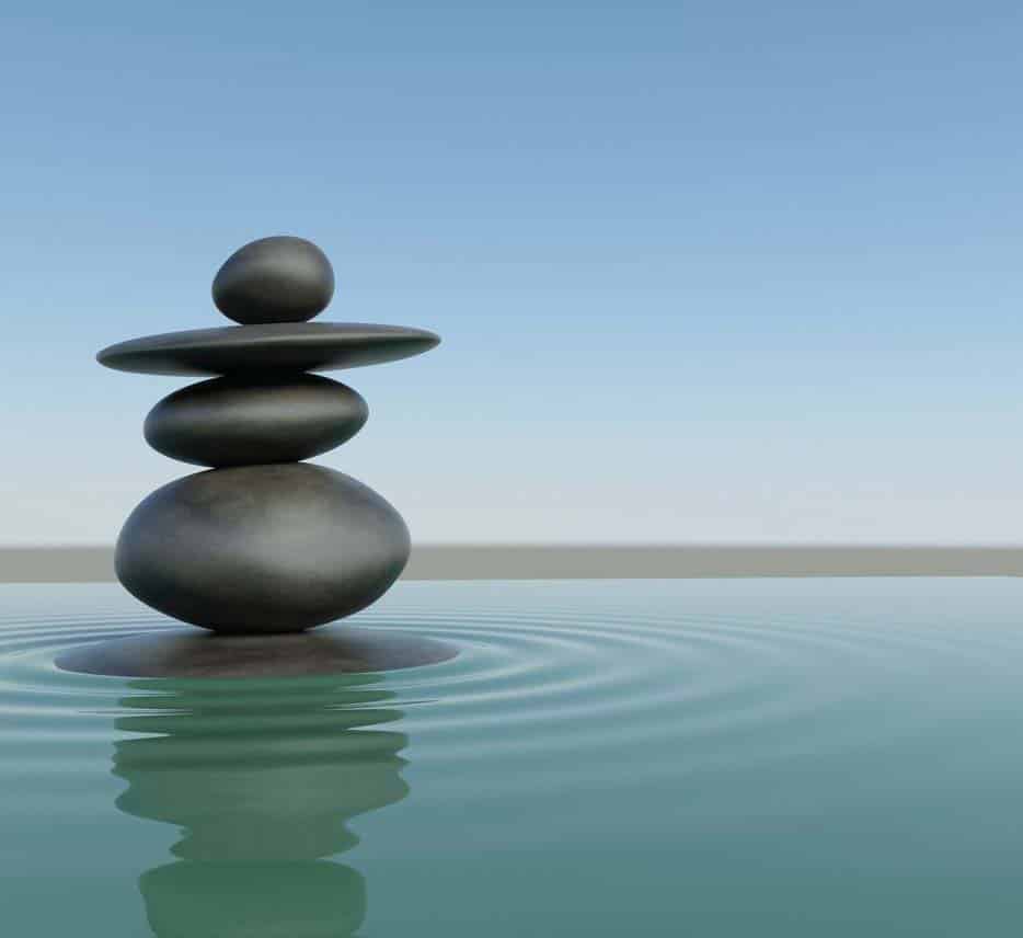 Pur Et Zen - Photo 3