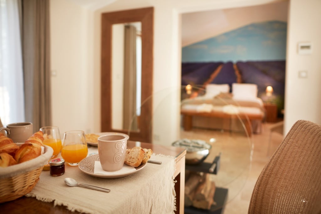 Suite & Spa du Luberon - Photo 5