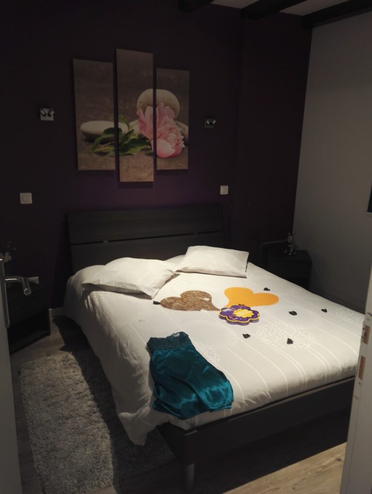 Gîte l&rsquo;atelier d&rsquo;Emile - Photo 2