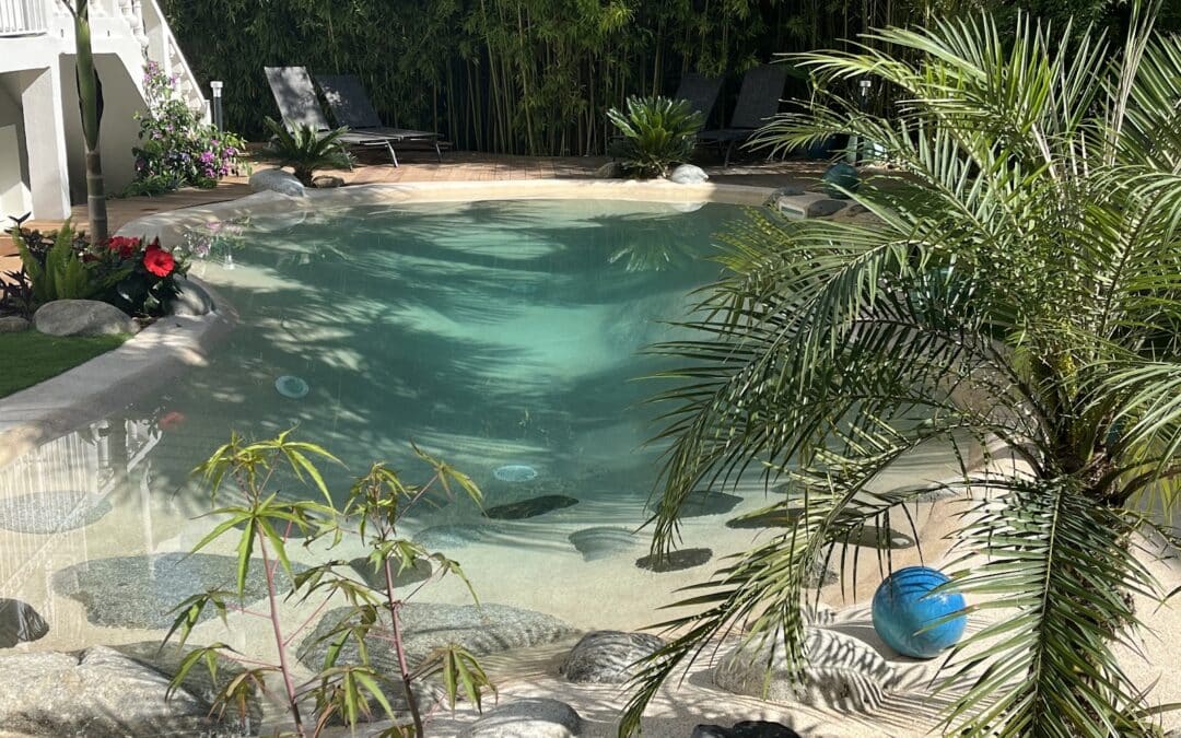 La Palmareda Massages & SPA