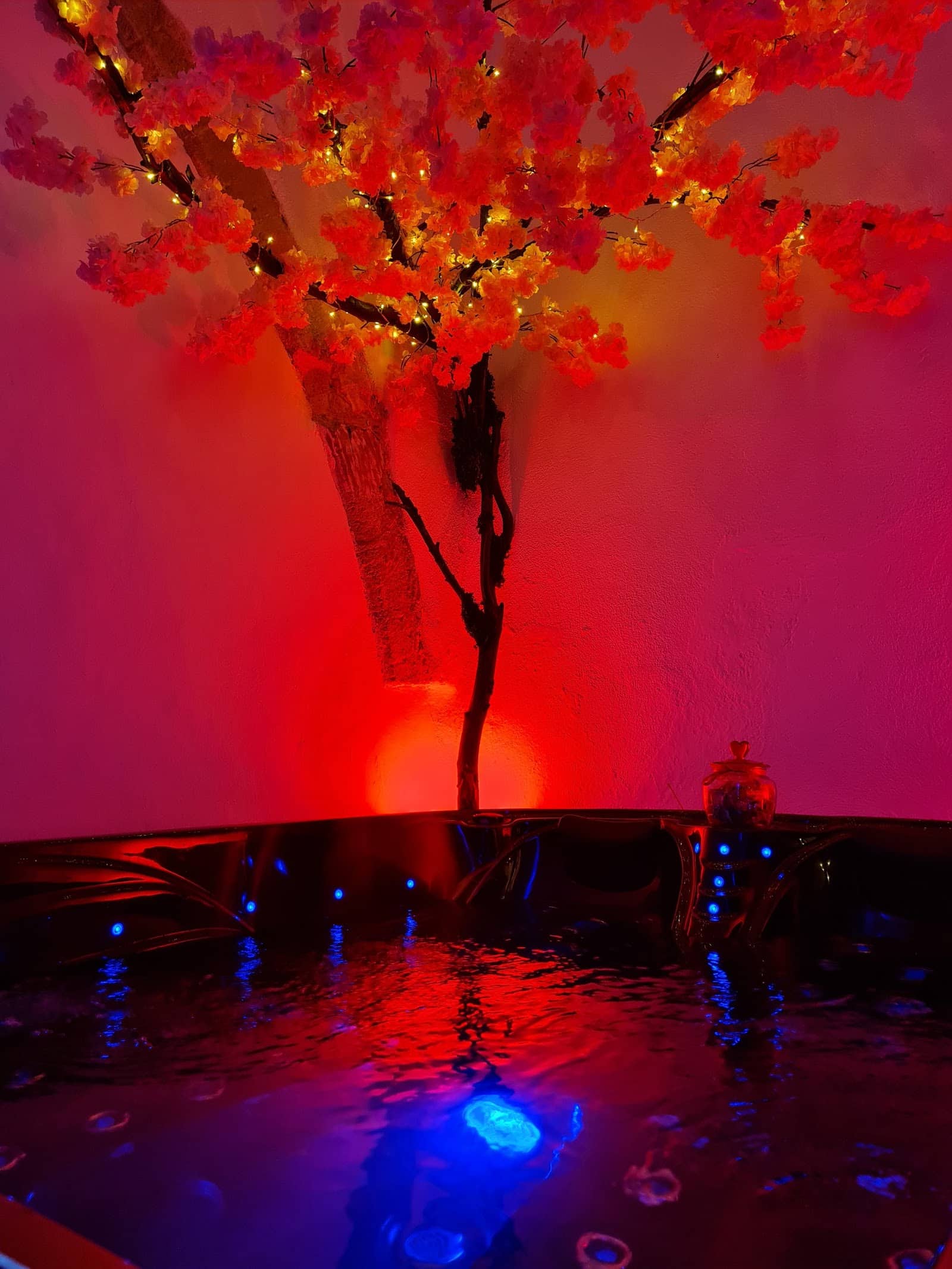 Lappart-salonais – love room & spa salon-de-provence - Photo 4