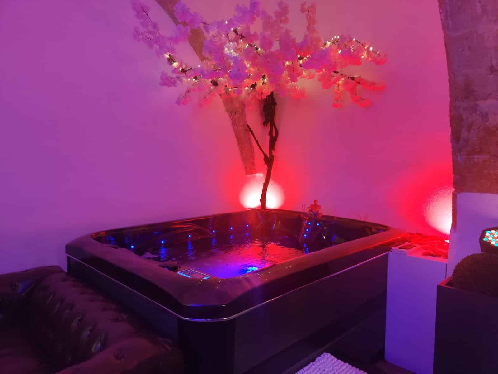 Lappart-salonais – love room & spa salon-de-provence - Photo 3