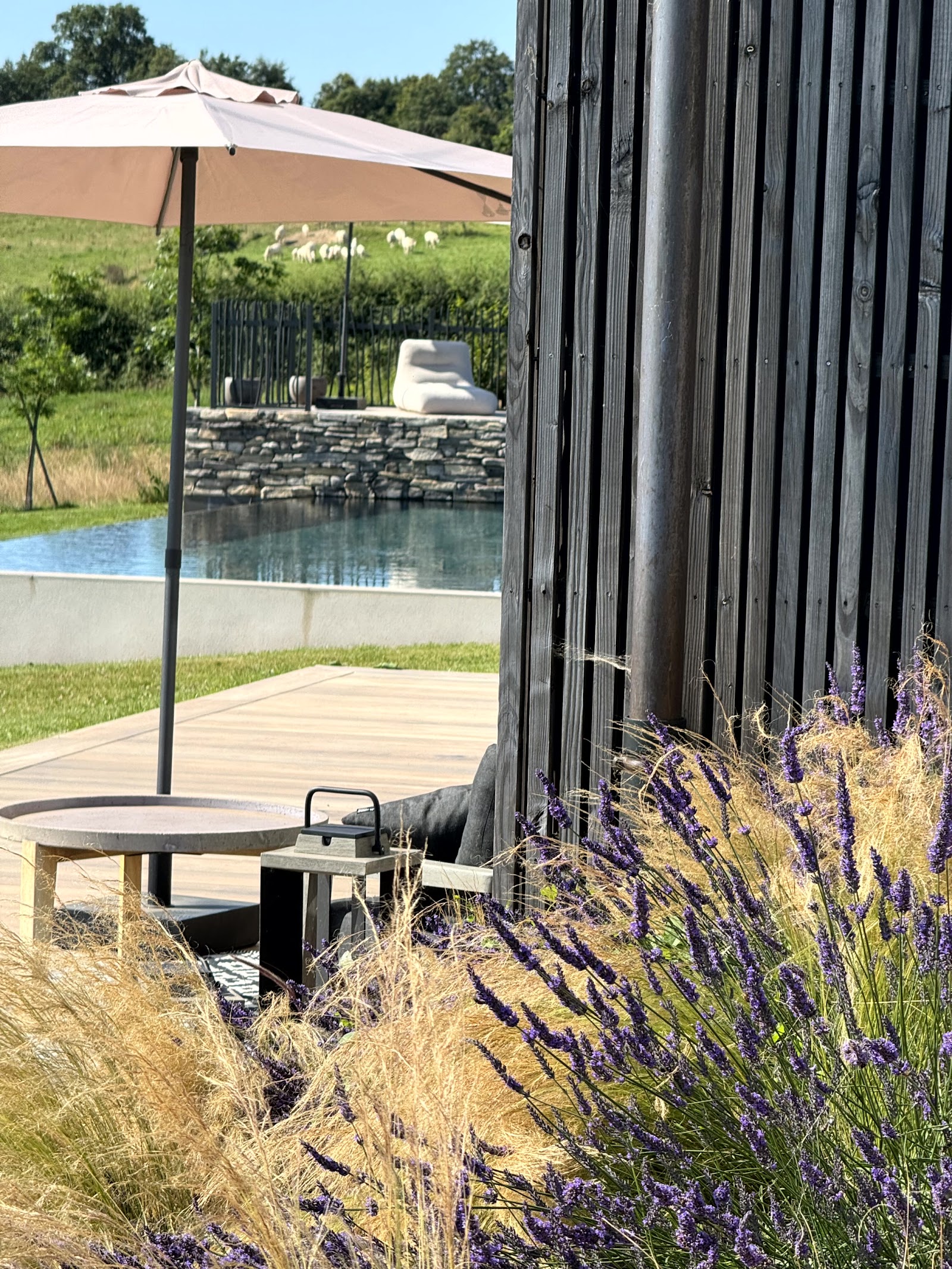 Le Clos Vercheron: Maison d&rsquo;hôtes, Chambres d&rsquo;hôtes avec piscine, Spa, Sauna et Hammam, à la campagne en Saône-et-Loire - Photo 5