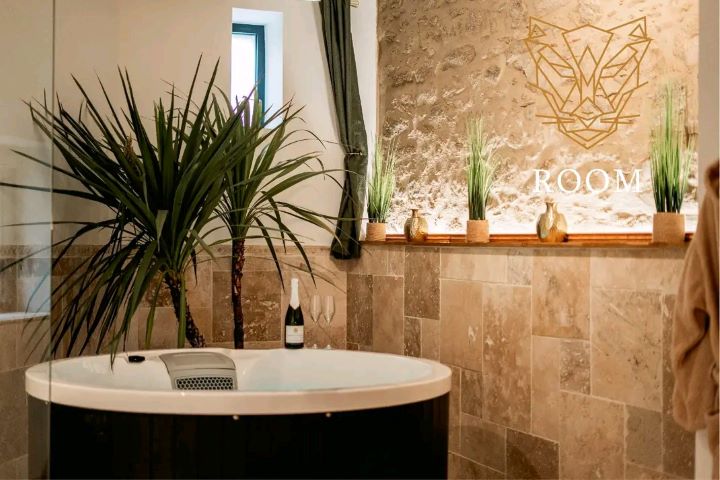 Love Room Vendée – SPA privatif 85310 Nesmy - Photo 3