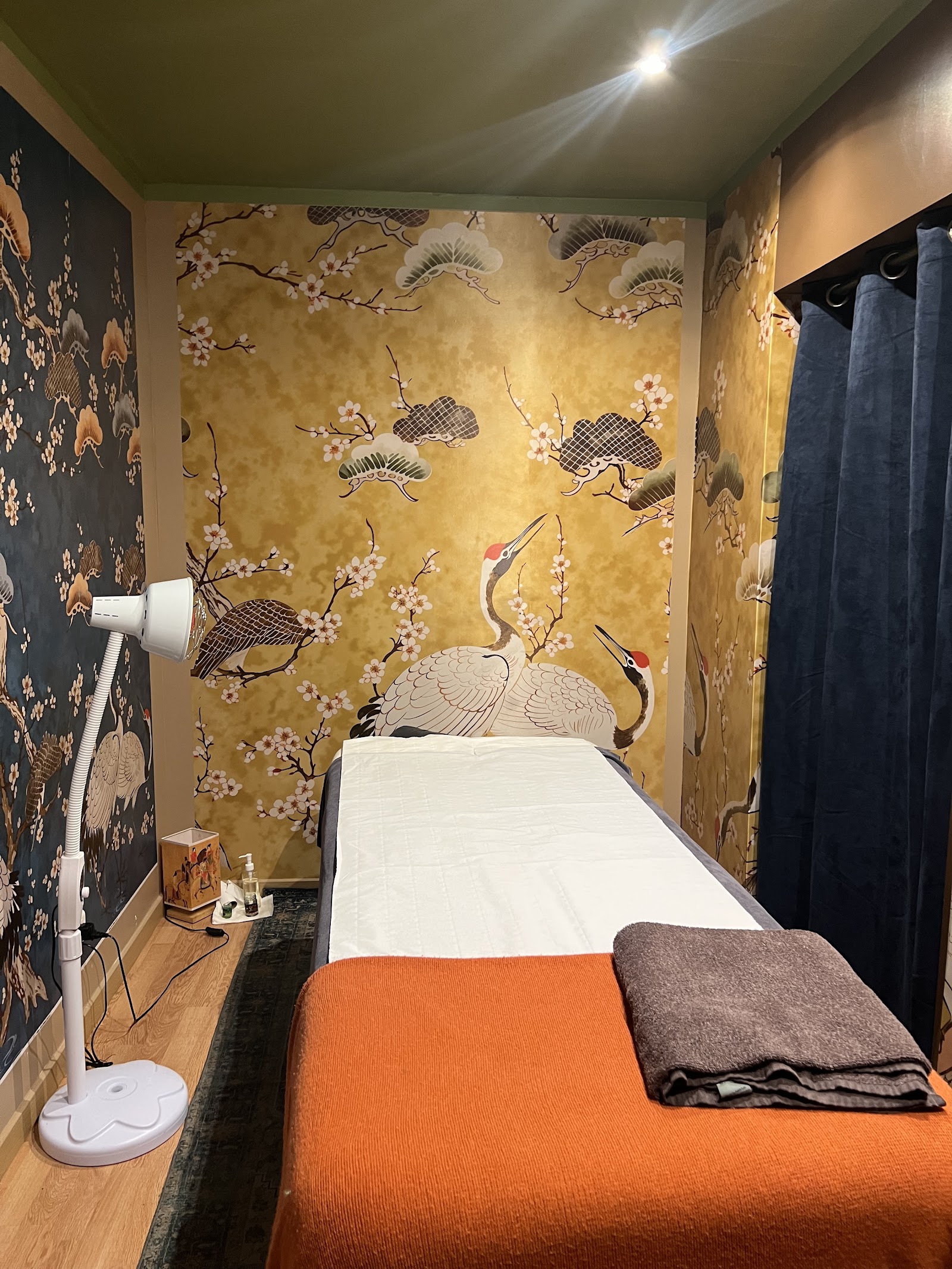 MTC Wellness - Photo 3